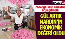 Gül Artık Mardin’in Ekonomik Değeri Oldu