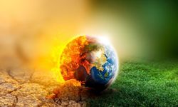 Türkiye'nin Küresel İklim Değişikliğiyle Mücadelesindeki Rolü ve Çabaları