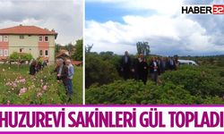 Huzurevi sakinleri gül bahçelerini gezdi