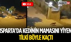 Çünür Mahallesi'nde Akşam Saatlerinde Tilki Görüldü