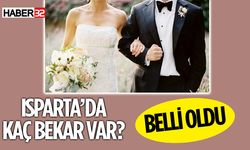 Isparta'da Kaç Kişi Bekar Belli Oldu