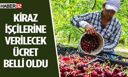 Kiraz işçilerine verilecek ücret belli oldu