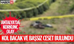 Denizden Kol, Bacak Ve Başı Olmayan Ceset Çıktı