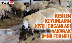 Sağlık Müdür Coşkun’dan Kist Hidatik uyarısı