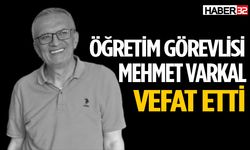 Öğretim görevlisi Mehmet Varkal hayatını kaybetti