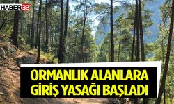 15 Ekim’e kadar ormanlara giriş yasak