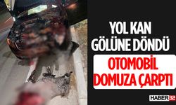 Domuza Çarpan Otomobil Kana Bulandı