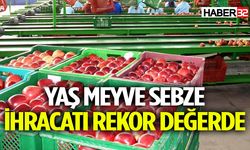 Yaş meyve sebze ihracatı rekor değerde