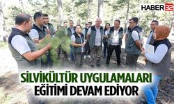 Silvikültür Uygulamaları Eğitimi Devam Ediyor