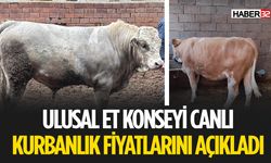 Canlı Kurbanlık Fiyatları Açıklandı