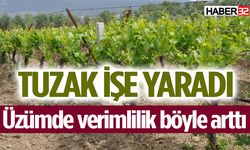 Üzüm bağlarında bu teknikle verimlilik arttı