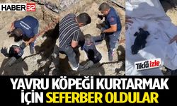 Yavru köpeği itfaiye ekipleri böyle kurtardı