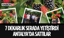 Isparta'da Ahududu ve Böğürtlen Yetiştiriciliği Başladı