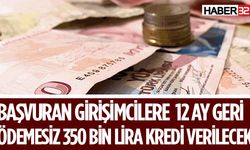 Devlet Destekli Girişimci Kredisi Başvuruları Başladı