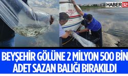 Beyşehir Gölü'ne 2,5 Milyon Yavru Sazan Bırakıldı