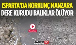 Isparta'da Baraj Kurudu Yaşam Yok Oldu