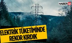 Elektrik Tüketiminde Rekor Kırıldı