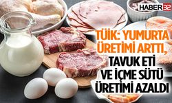 TÜİK: Yumurta üretimi arttı, tavuk eti ve içme sütü üretimi azaldı