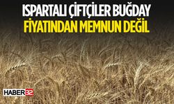 Ispartalı Üreticiler Buğday Fiyatlarından Memnun Değil