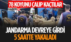 Çalınan 78 Hayvan 5 Saat İçinde Bulundu