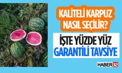 Ispartalı Pazarcıdan Yüzde Yüz Garantili Karpuz Seçme Dersi