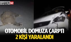 Otomobil aniden yola çıkan domuza çarptı: 2 yaralı