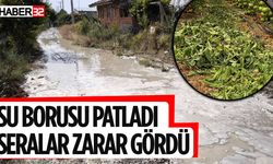 Su Borusu Patladı: Seralar Sular Altında Kaldı