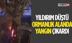 Düşen Yıldırım Isparta'da Ormanı Yaktı