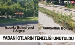 Yol kenarındaki yabani otların temizliği unutuldu