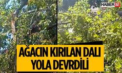 Rüzgarın Etkisiyle Yolun Ortasına Dal Düştü