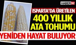 Isparta’da üretilen 400 Yıllık Mısır Ata Tohumu Yeniden Hayat Buluyor