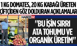 Ata Tohumundan 1 Kilogramlık Domates Yetiştirdi