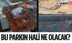 Parkların Temiz Kalması İçin Ne Gerekiyor?