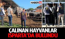 Afyonkarahisar’da çalınan büyükbaş hayvanlar Isparta’da bulundu