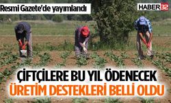 Çiftçilere bu yıl ödenecek üretim destekleri belli oldu