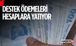 2.9 Milyar Liralık Destek Hesaplarda