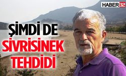 Eğirdir Gölü'nde sivrisinek türedi