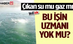 Vatandaş soruyor: Bu işin  bir uzmanı yok mu?