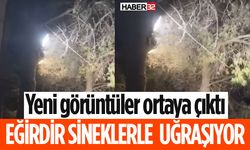 Sinek Sorunu Vatandaşları Zorluyor