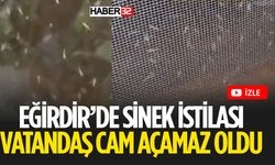 Eğirdir'de Sinek İstilası Cam Açmak Neredeyse İmkânsız