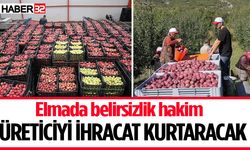 Elma 10 liradan aşağı satılırsa üretici zararda olacak