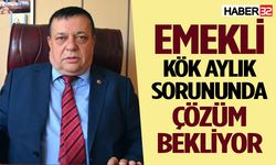 Emekli kök aylık sorununda çözüm bekliyor