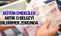 Beyanname vermeyen emeklilere ödeme yapılmayacak