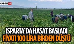 Isparta'da Hasat Başladı Taze Fasulyenin Fiyatları Çöktü