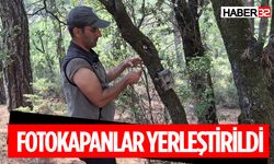 Yaban Hayatı Saniye Saniye izlenecek