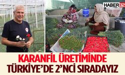 Üretilen karanfiller, Avrupa ülkelerine ihraç ediliyor