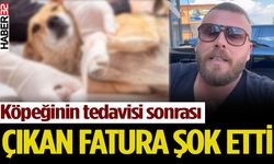 Köpeğinin tedavisi sonrası çıkan fatura şok etti