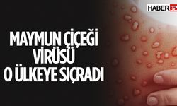 İsveç'te Maymun Çiçeği Virüsünün  Varyantı Tespit Edildi