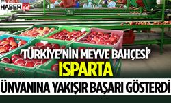 İhracatta en yüksek hacim yaş meyve sebze ile kimyevi maddelerde