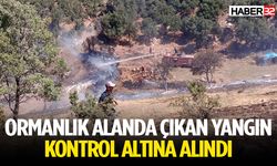 Ormanlık alanda çıkan yangın kontrol altına alındı